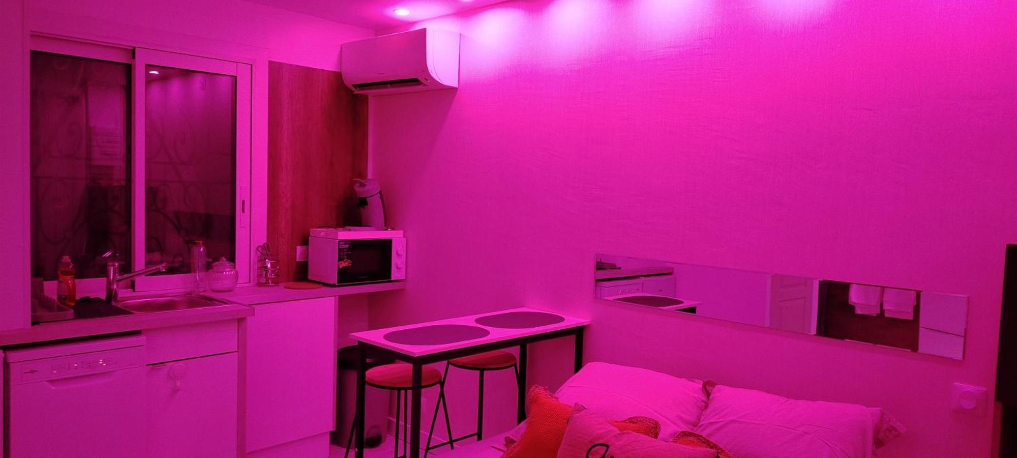 Studio Cosy Balneo Avec Jardin Le Barcares Exterior photo
